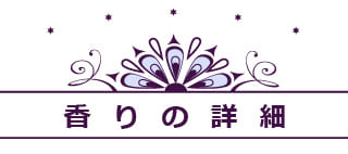 星座シリーズのオイルの詳細